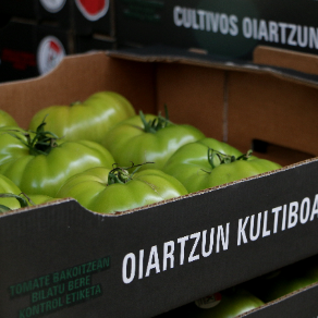 ANDONI GARCIA OYARZUN