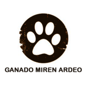ARDEO CB Logo