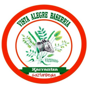 VISTA ALEGRE BASERRIA Logo