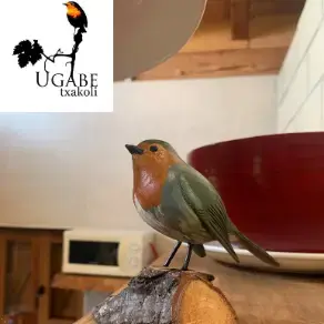 UGABE TXAKOLINA - UGAITZ ITURBE