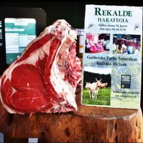 JOSEBA REKALDE INTXAURBE