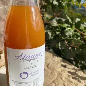 MAGDA MARTINEZ- ATAUNE USTIAPENA