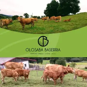 OLASABA BASERRIA - ANARTZ URIBE Logo